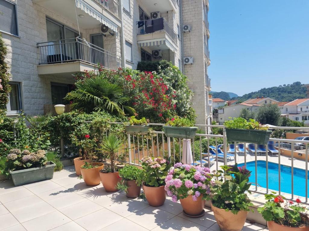 Apart 2 bedroom seaview - 3