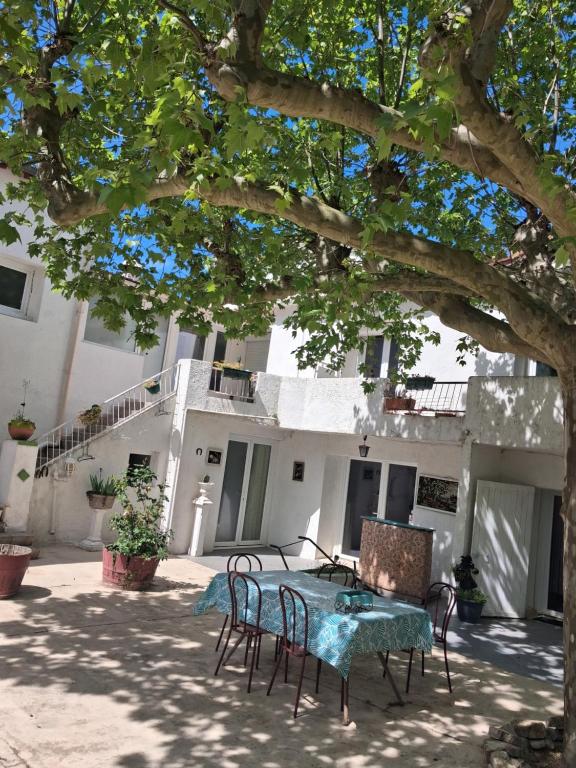 le patio des garrigues - 3