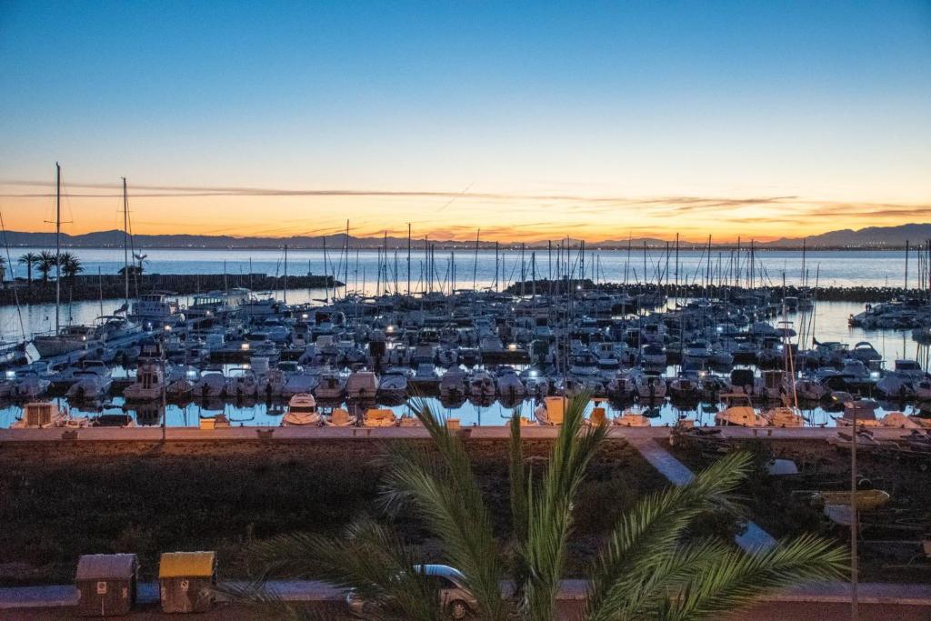 Viva la vida Mar Menor - 2