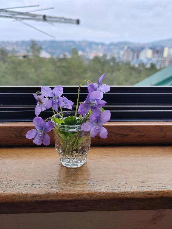 Apartman Kućazaodmor - 5