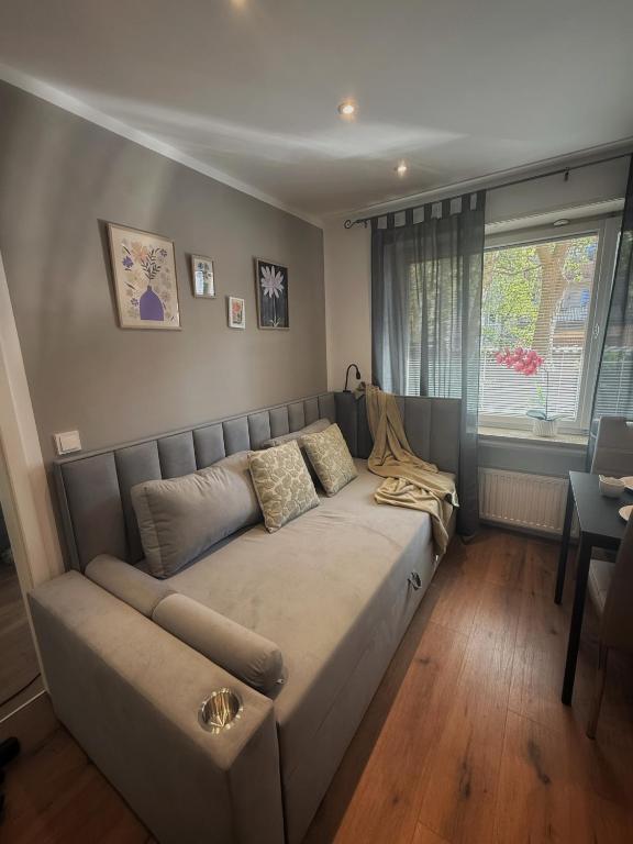 Neues City-Apartment nahe der Fuggerei I Stellplatz I frisch renoviert I Zentrumnähe - 4