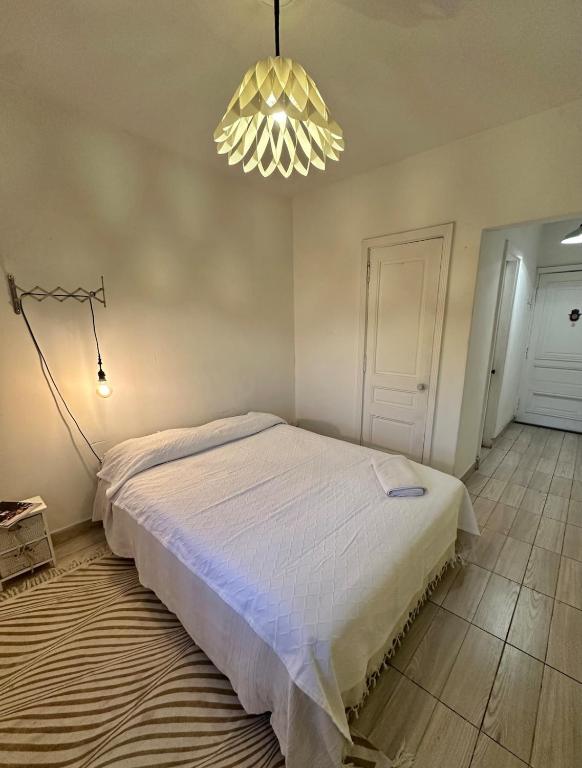 Apartment in the historic center - 3