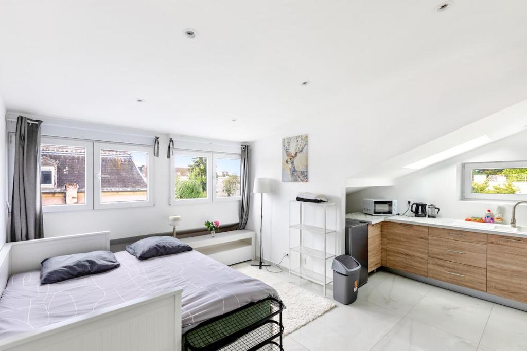 Studio Très Chic & Frais avec Ventilateur, Parking Privé Gratuit, MULHOUSE centre - 1