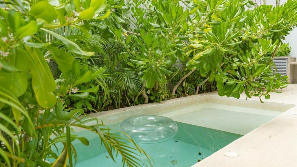 Villa Pools Privadas Rooftop Selva Tulum - 3