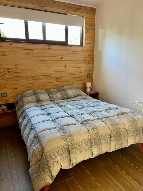 Central Pucon Palguin Pad #2 1er piso - 3
