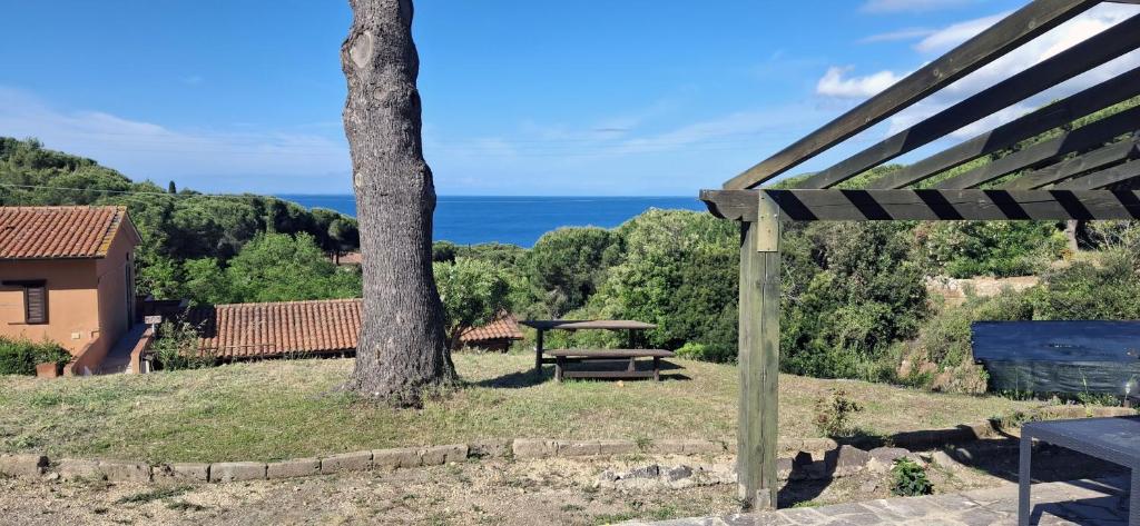 Villa Cedro - 4
