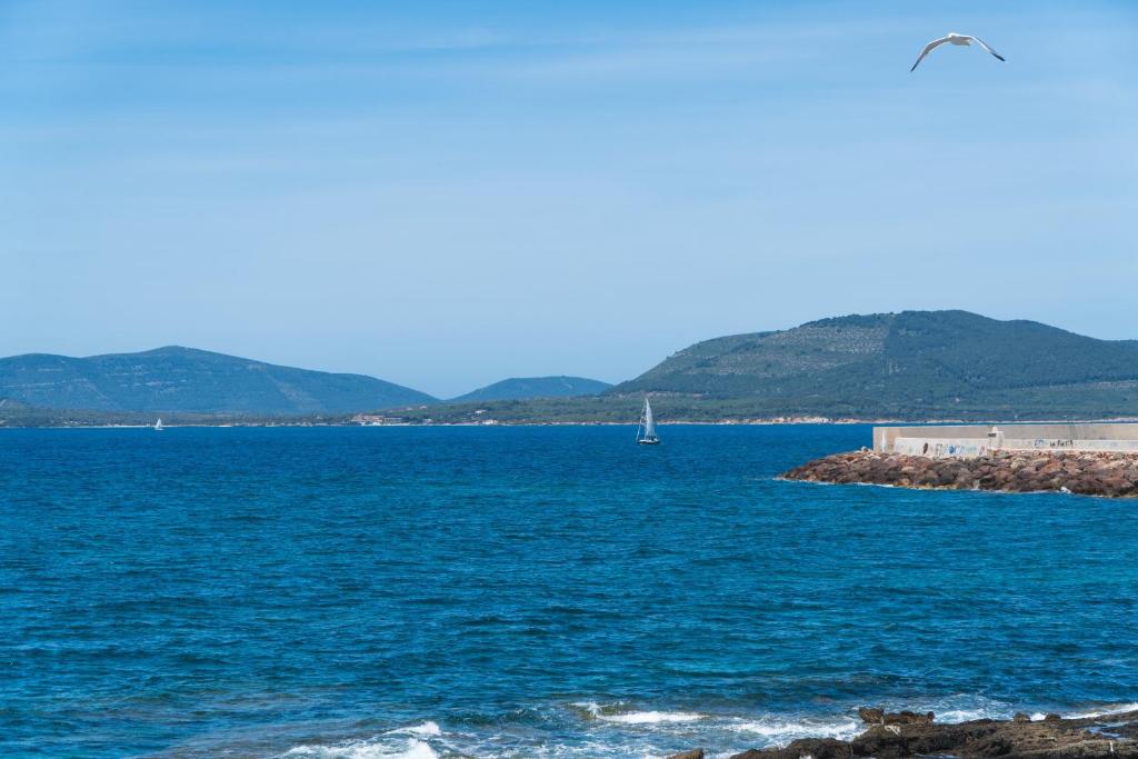 Crystal Apt - Alghero - 5