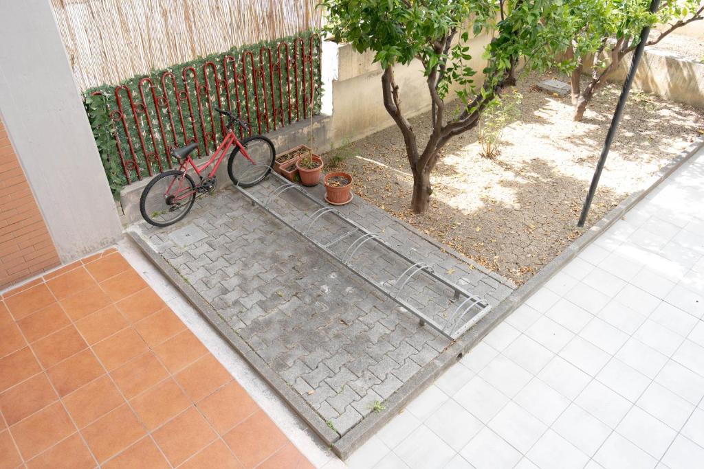 The Bike - 4