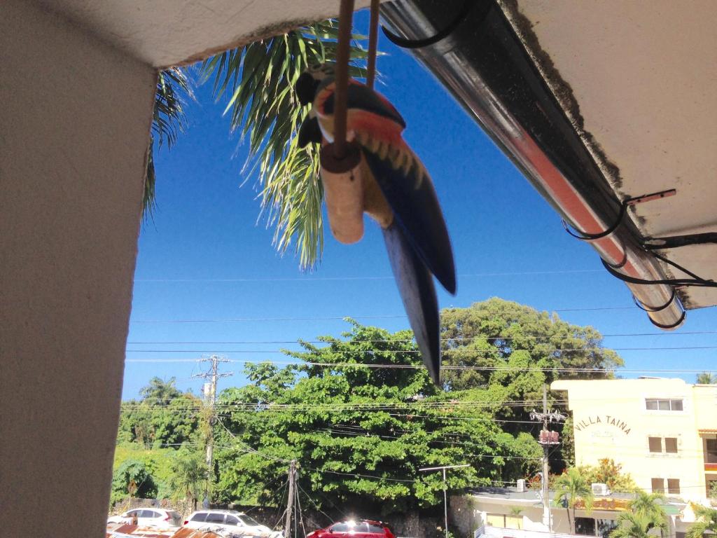 Surrounding environment