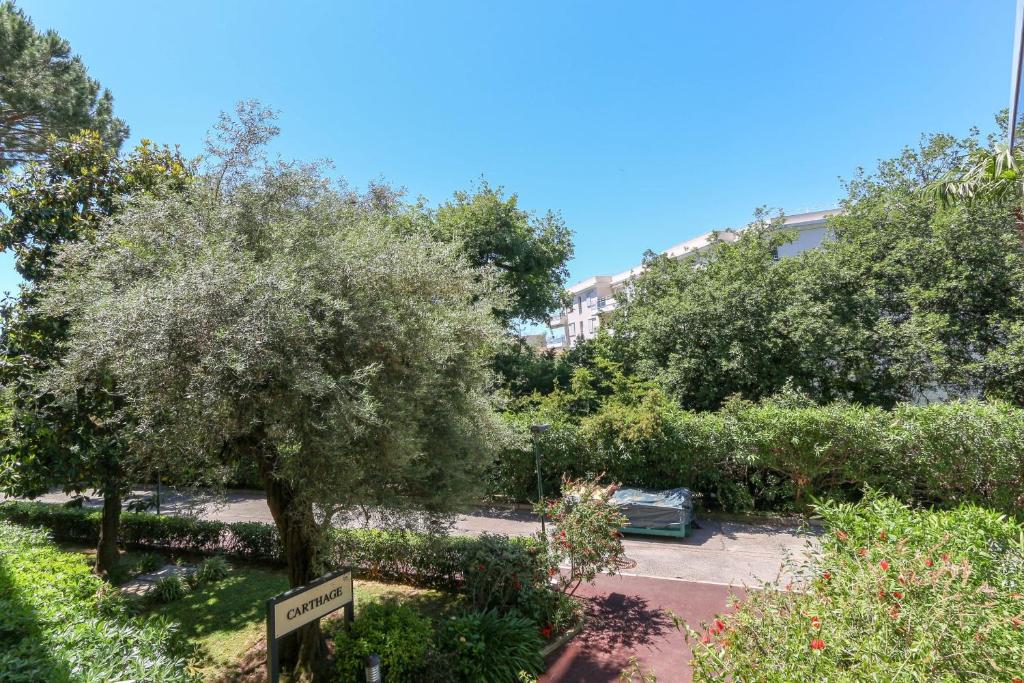 Studio in Antibes with AC Terrace & Pool - BENAKEY - 3