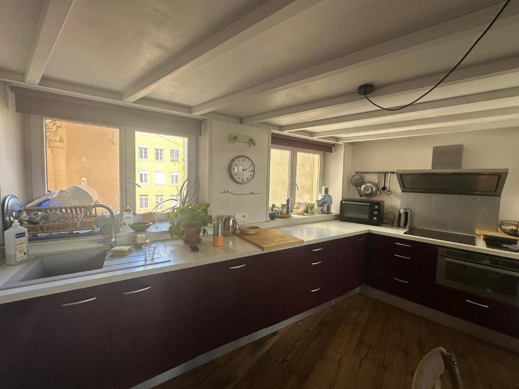 Beautiful Canut apartment, Croix-Rousse - 5