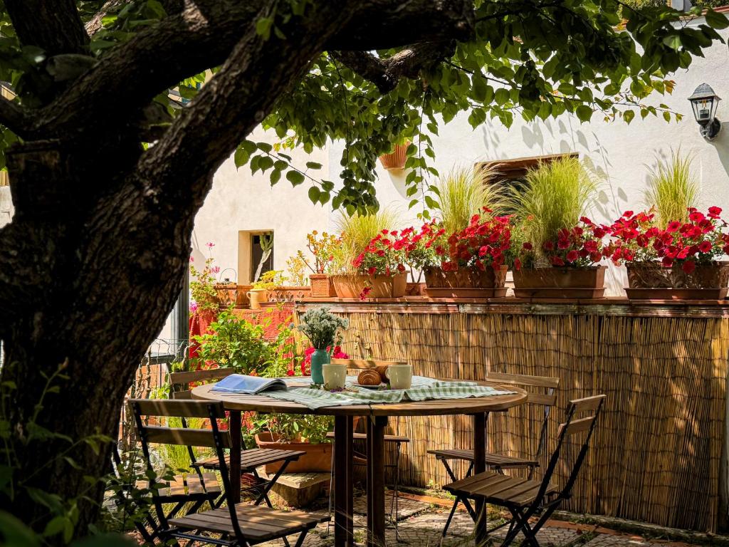 Casa di Leo - HelloElba - 2