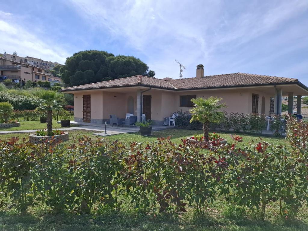 Villa dei Pini Capoliveri - 1