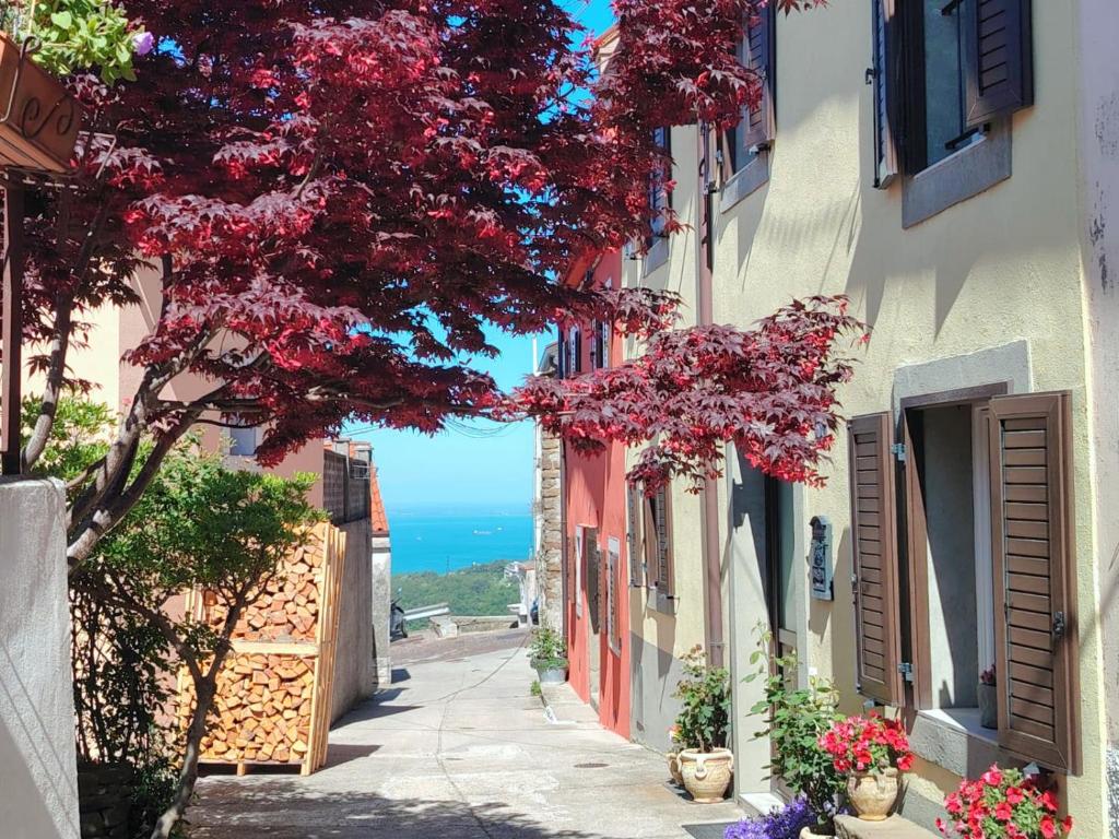 Trieste 10min dal Centro Villa Privata con Jacuzzi - 4