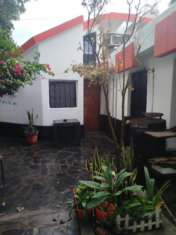 Bruna Zona Alta - 3