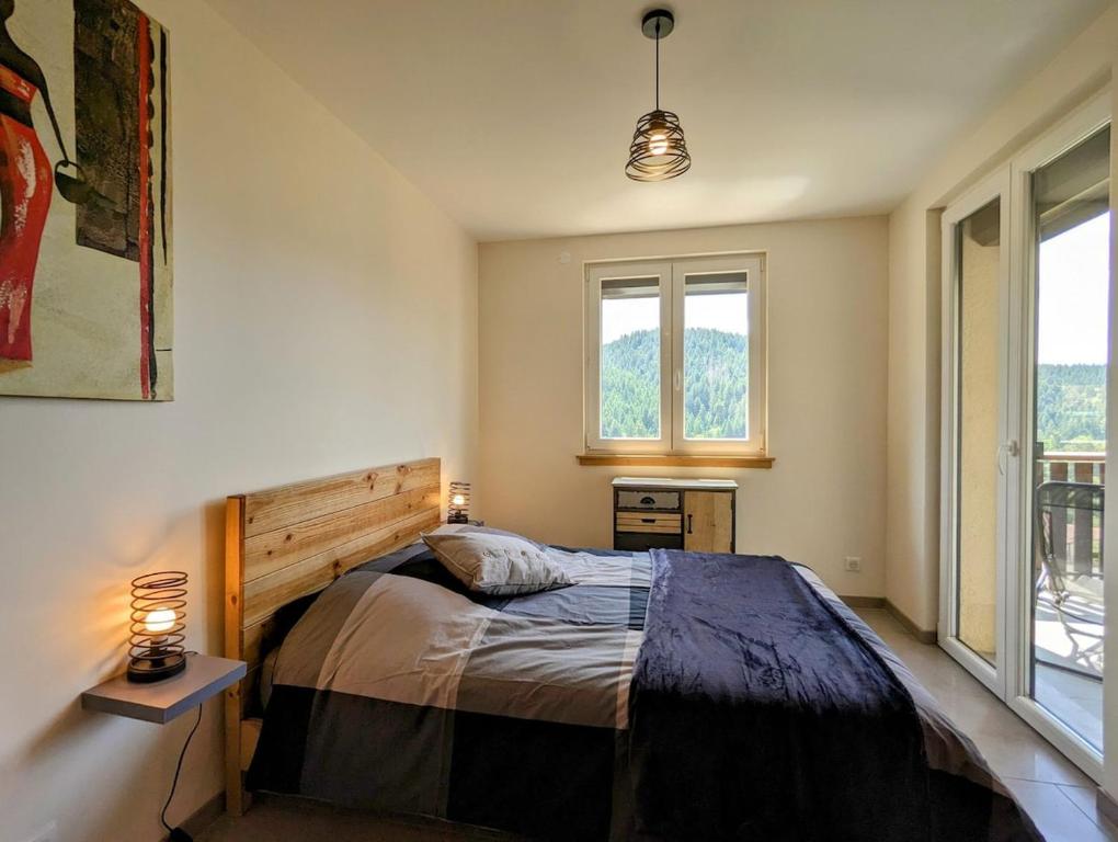 Le Grand Duc, appartement vue lac proche centre ville - 2