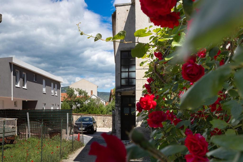 Grey Pearl Old Town with Free Parking - 5