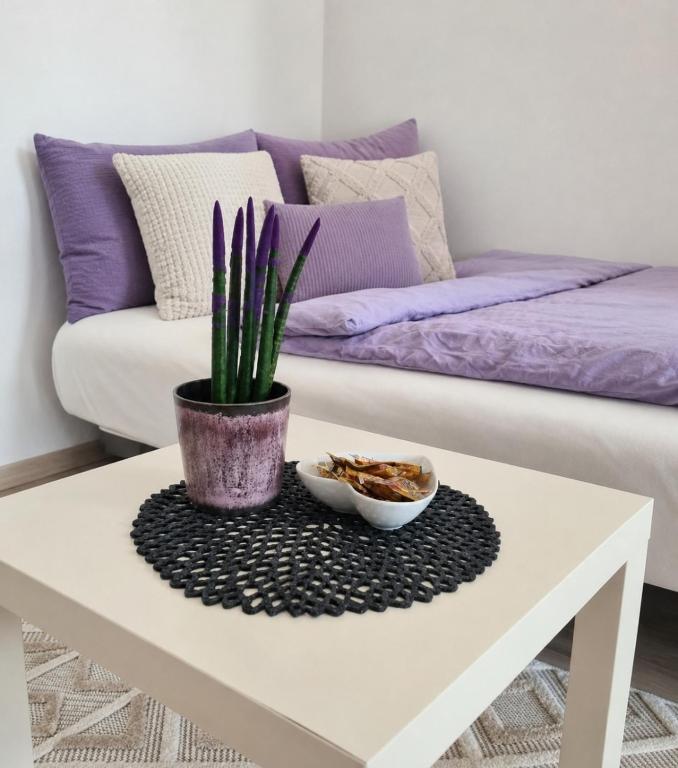 Studio apartment Sara - 1
