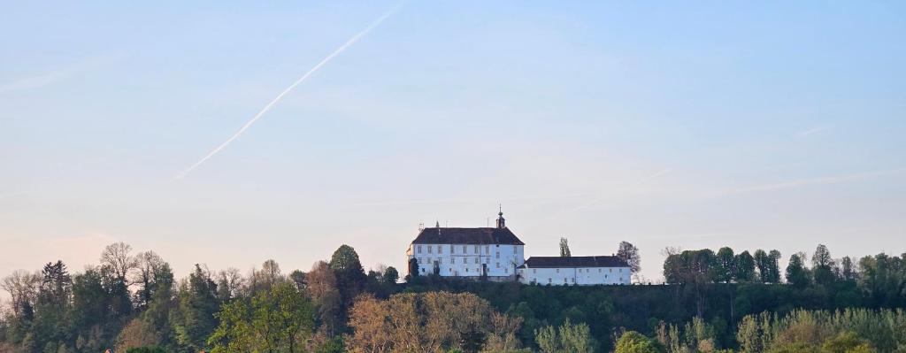 Schlossblick Bad Radkersburg - Penthouse - 2