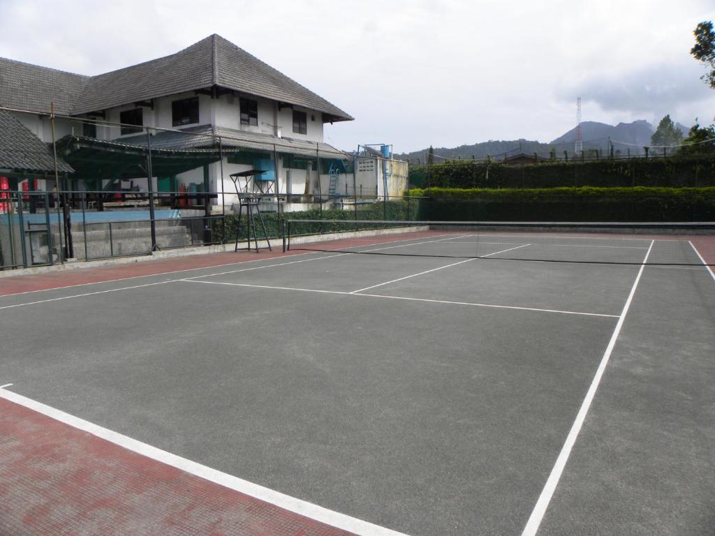 Tennis court