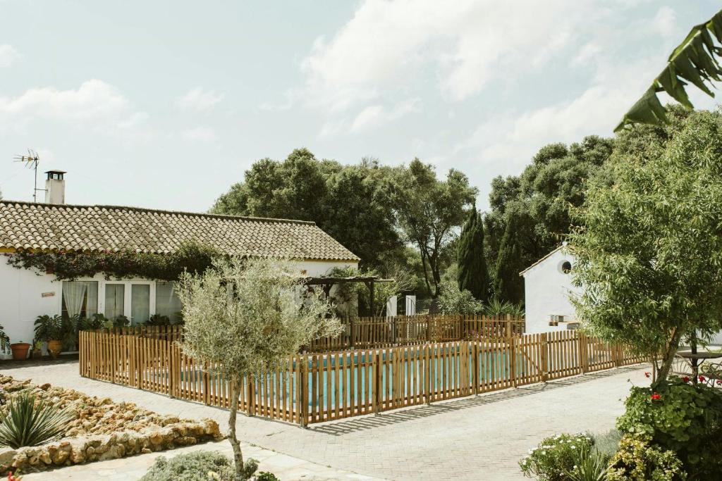 Centuries-Old Olive Finca With Pool In Cádiz - 1