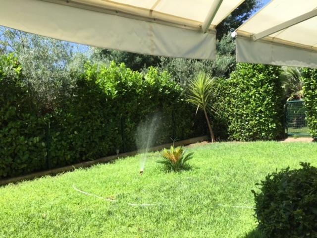 Appartement les Eucalyptus Cannes - 2
