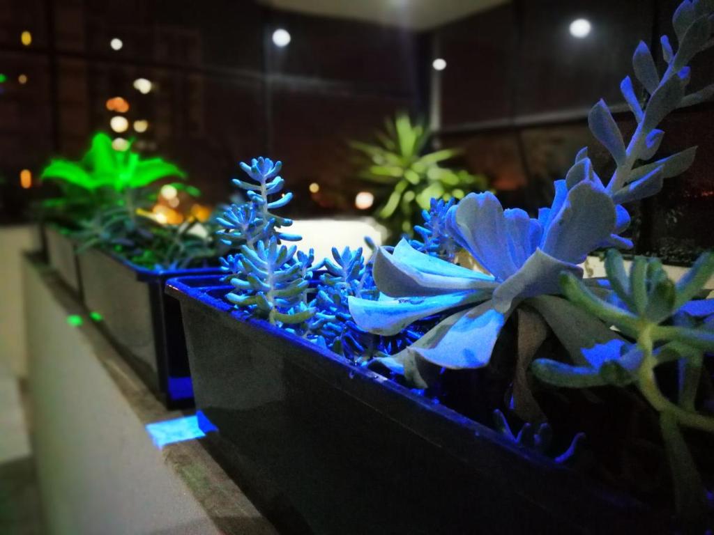 Guest House Jujuy photo