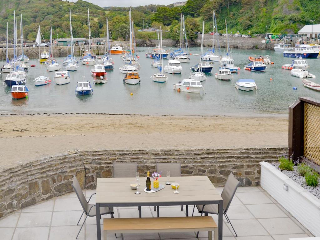 Blue Beach House - pet-friendly whole-house rental in Ilfracombe