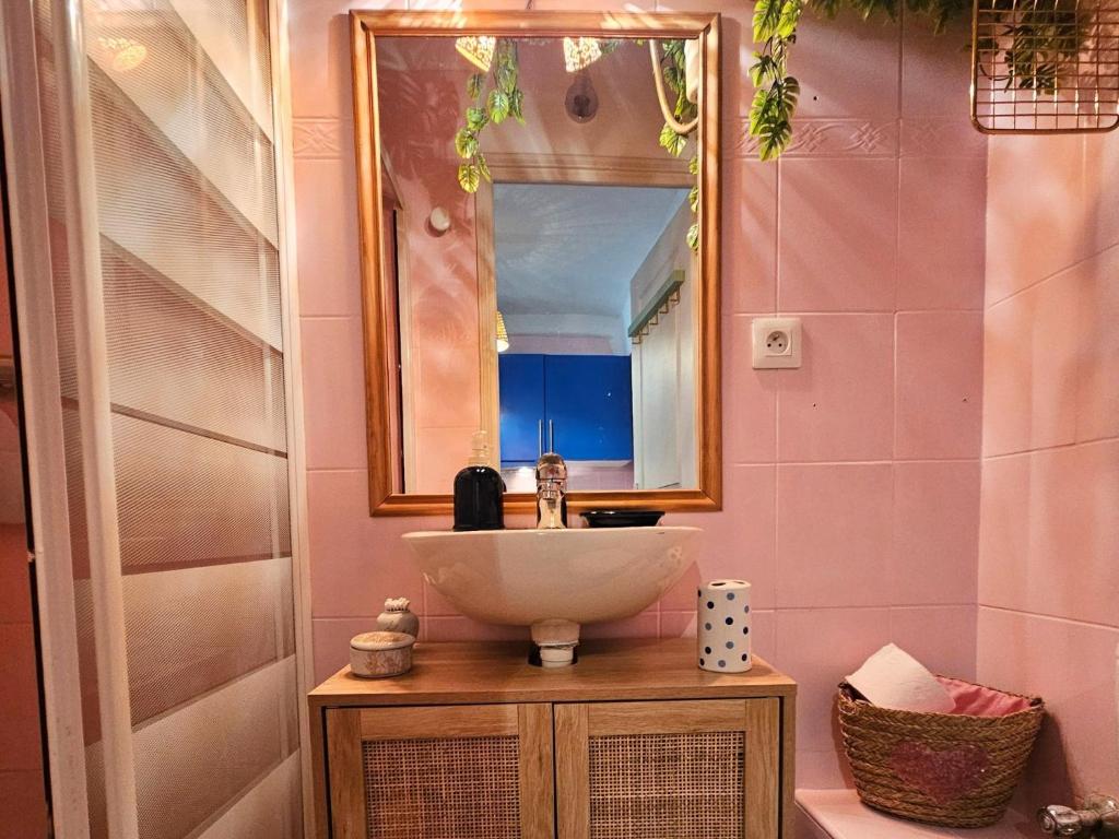 Le petit Matisse au cœur de Vence - 4