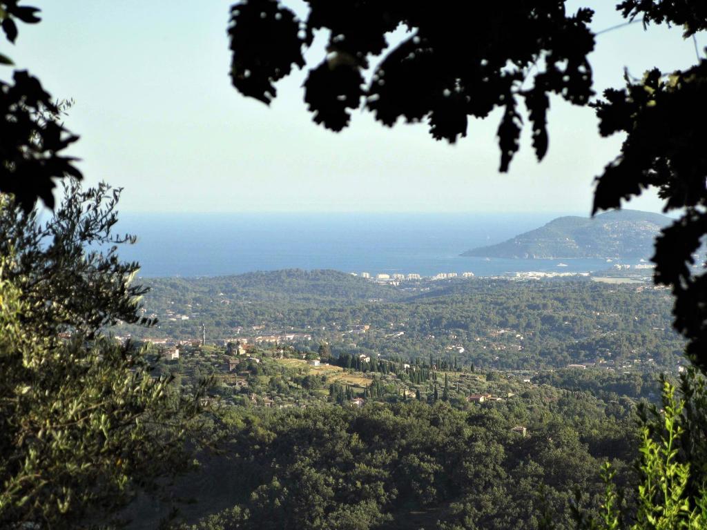 le romarin - 3