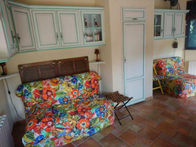 le romarin - 4