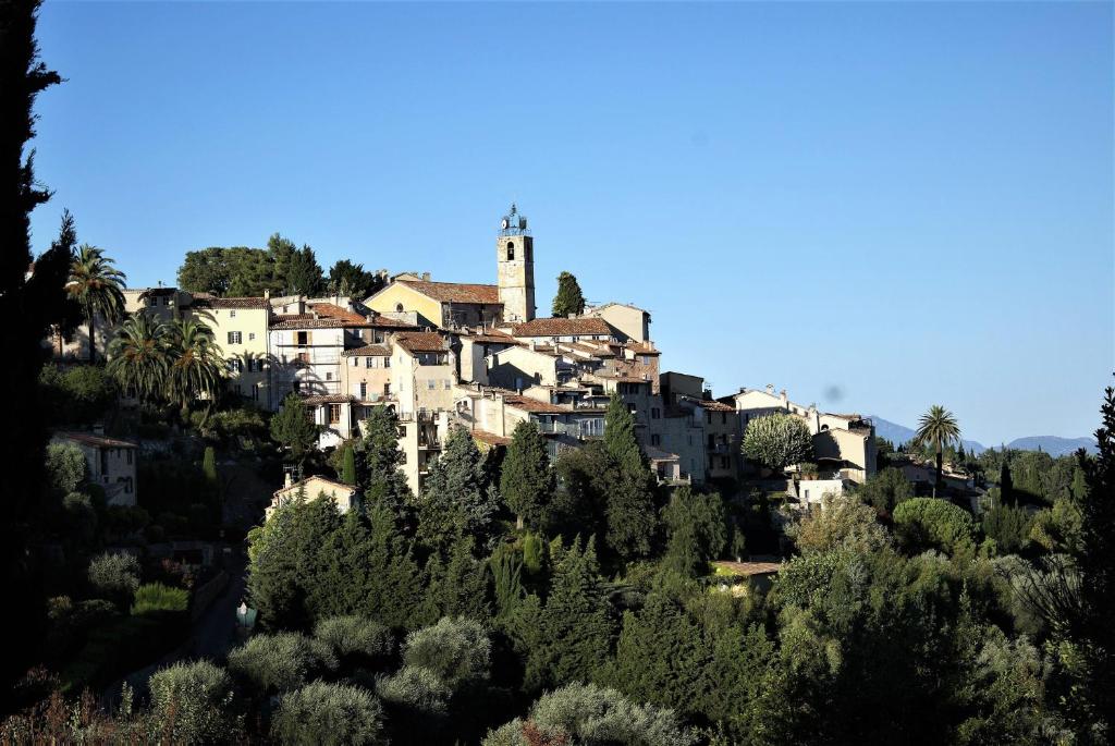 le romarin - 5