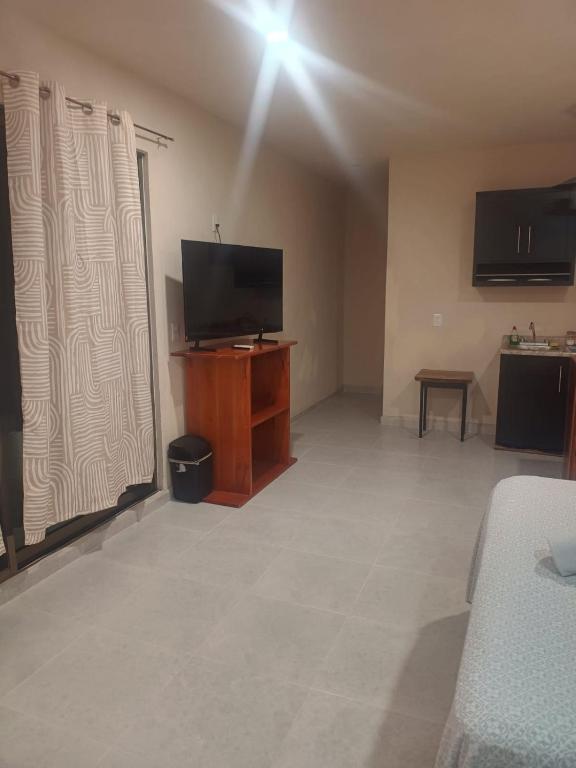 Miriam Lofts - 2
