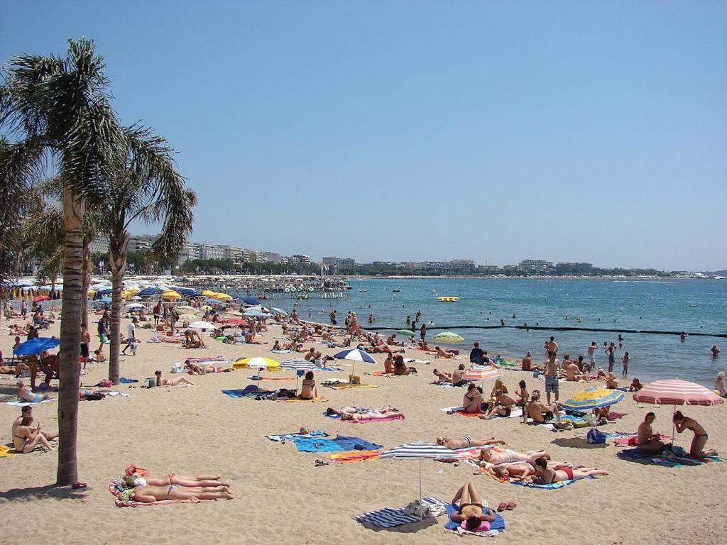 MIRAMAR-Studio tout confort sur la croisette - 2