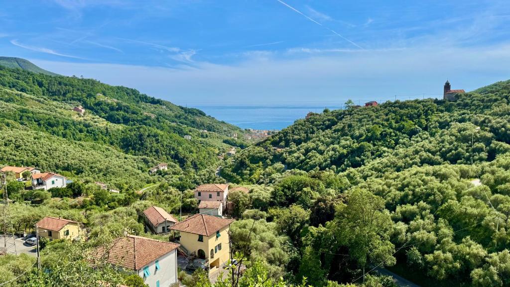 Foglie d'Argento - 2