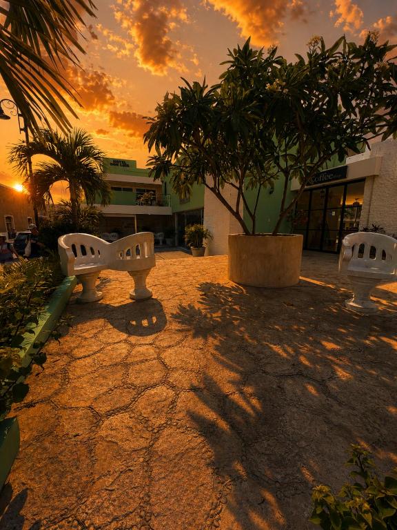 Hotel Don Luis - 3