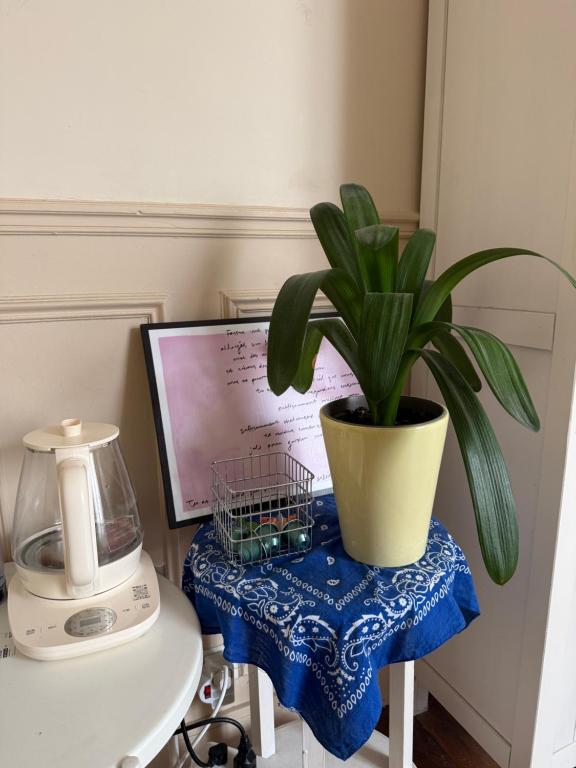Live like a local ! Cosy and calm 35sqm parisian style - 3