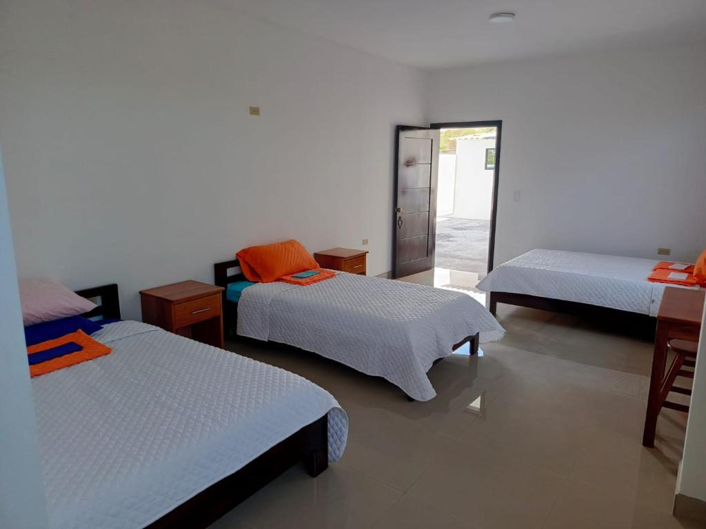 Iguana Marina House - 4