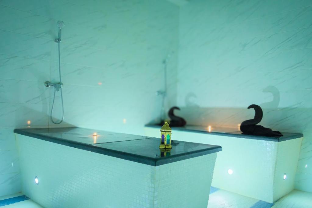 Steamroom