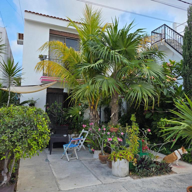 Tu Casa en el Caribe - 5