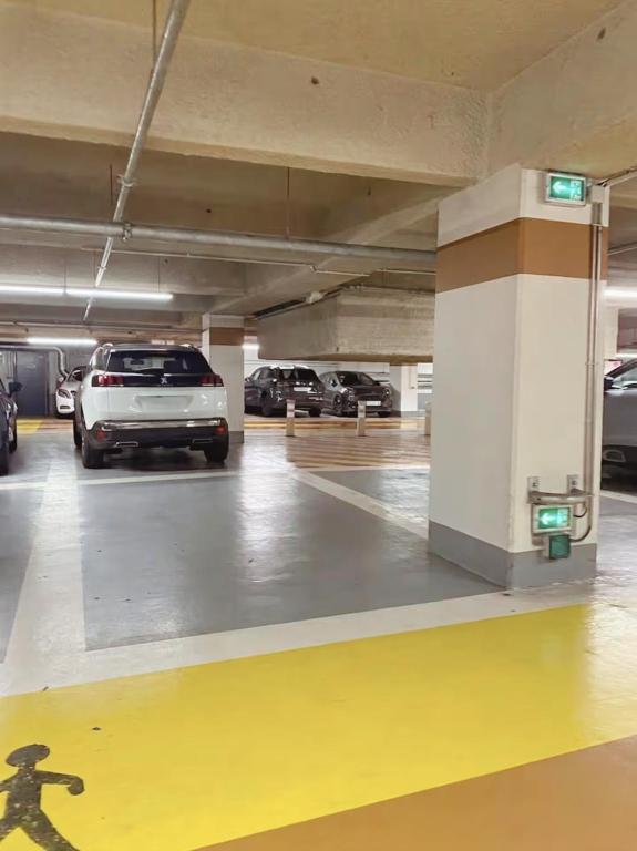 Cœur de Pau - Parking Privé - L'Unique - 4