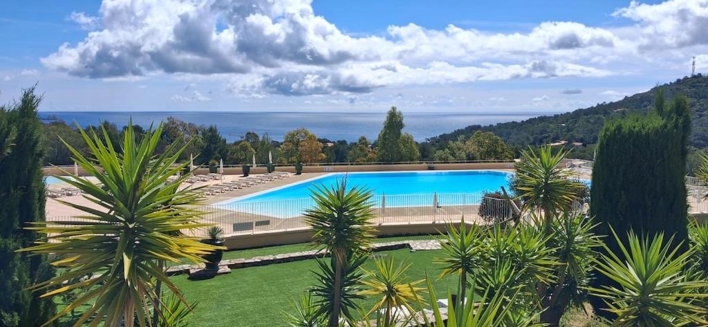 Cap Estérel Vue mer Piscine Parking 6 pers - 3