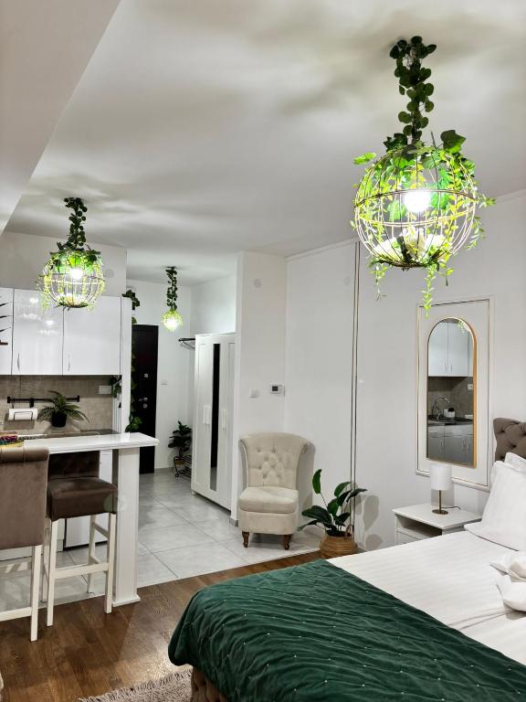 Apartman Vanila Lux Kragujevac - 4