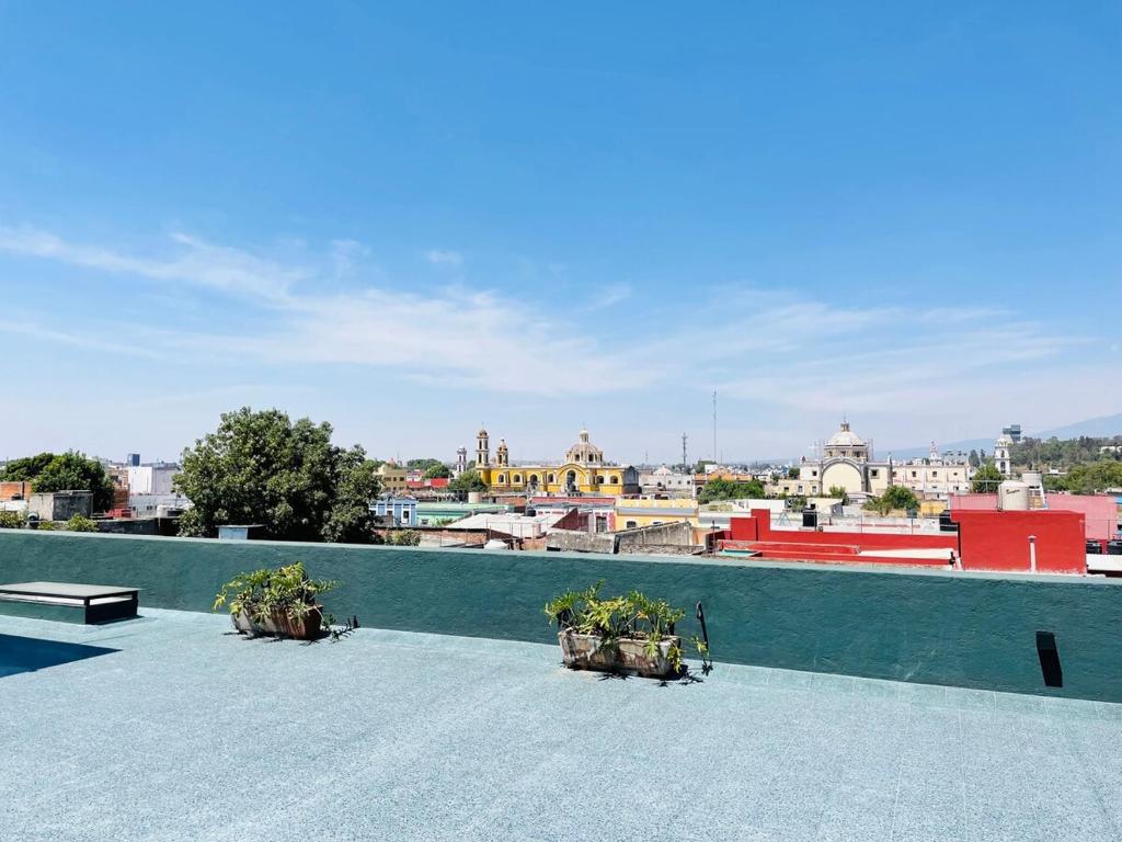 Loft #104 en Centro Histórico con Terraza Compartida y Patio Privado - 5