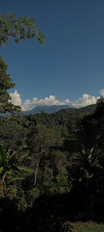 Glamping villeta campo heliconias - 5
