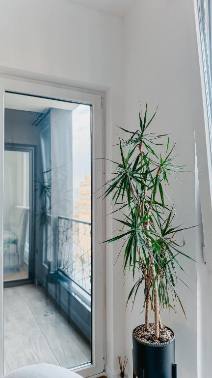Bulevar Modern Residence - 2 - 5
