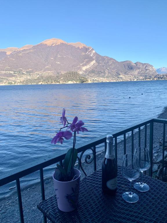 B&B Nest on the Lake - 2