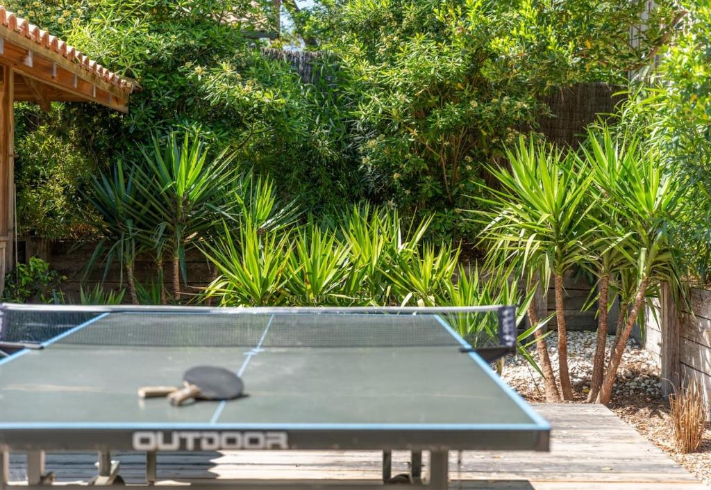 Villa Yucca au Cap Ferret I Piscine I Marché I Plages - 5