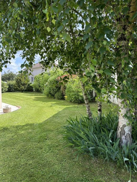 Villa Hawaï 8 à 12 pers Grand jardin et Plage à pied - 2