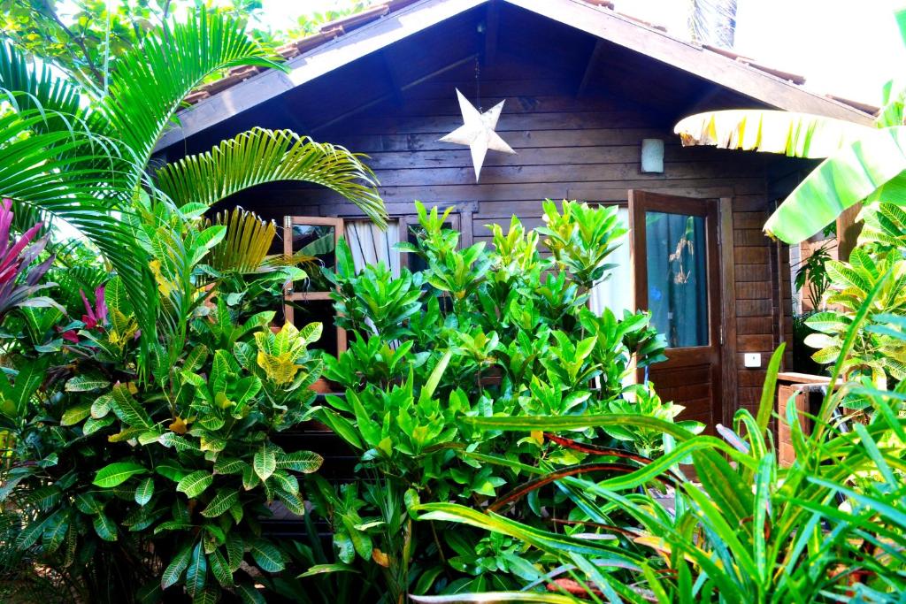 Pele's Windsong Wood Cottage On The Beach